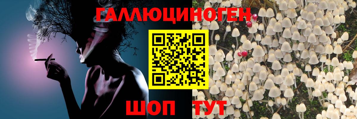 Галлюциногенные грибы мухоморы Партизанск