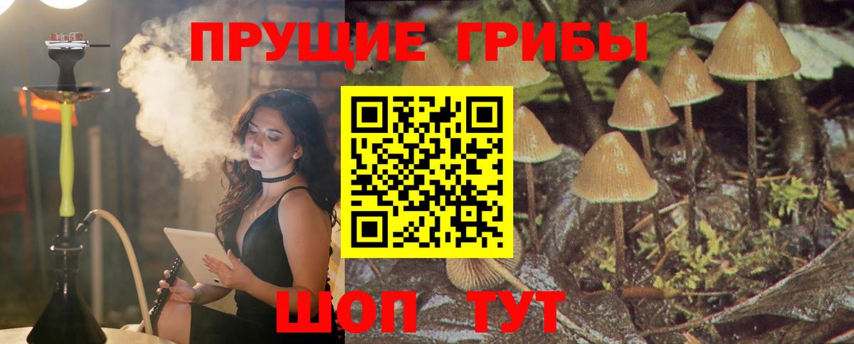 Галлюциногенные грибы мухоморы  наркота  Партизанск  Вход с VPN 